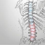 a low-poly, digital wireframe illustration of the human ribcage and spine viewed from the side