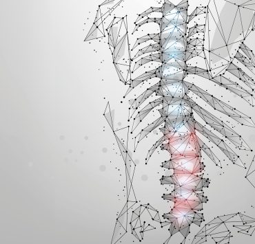 a low-poly, digital wireframe illustration of the human ribcage and spine viewed from the side